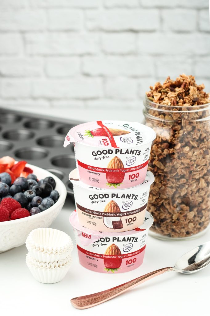 Vegan Frozen Yogurt Granola Bites