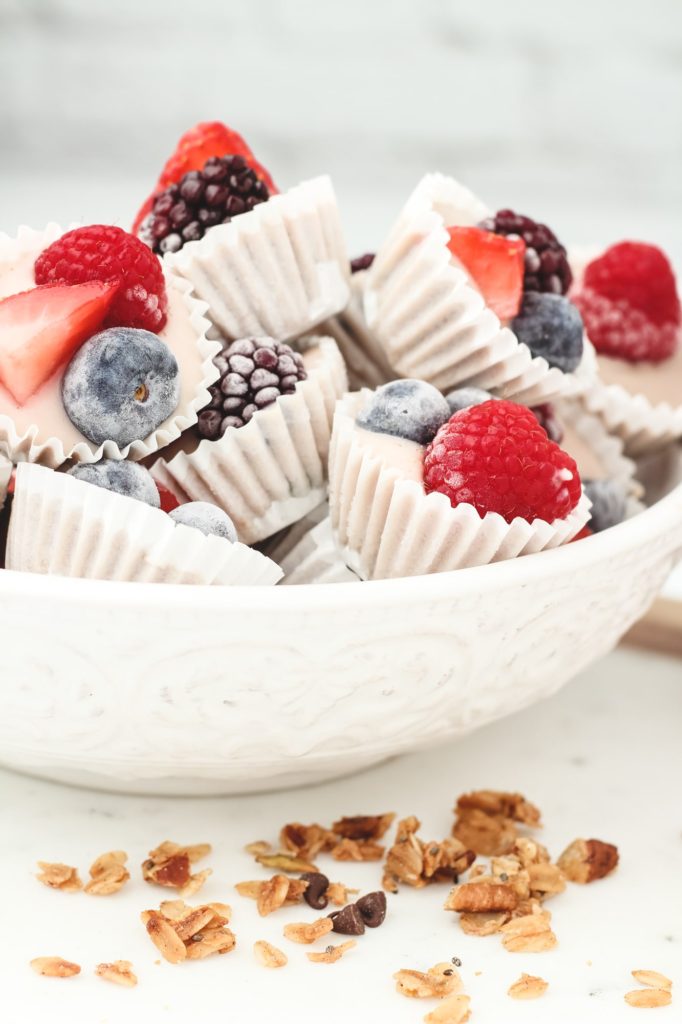 Vegan Frozen Yogurt Granola Bites