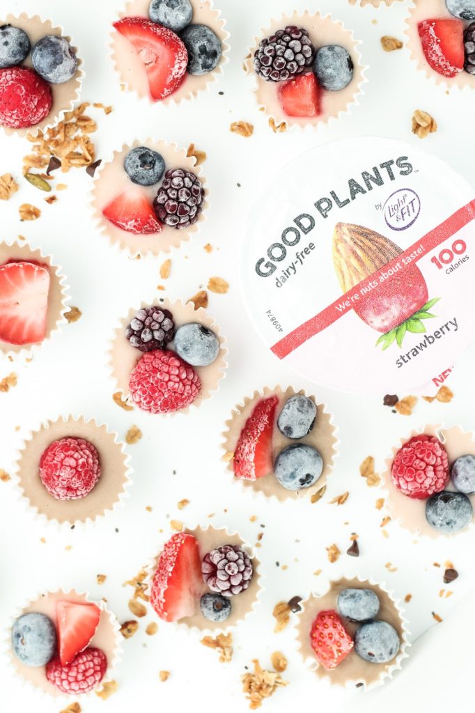 Vegan Frozen Yogurt Granola Bites