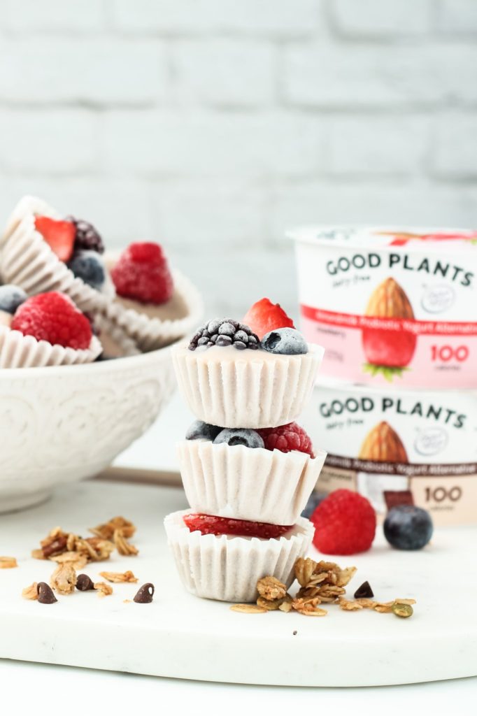 Vegan Frozen Yogurt Granola Bites