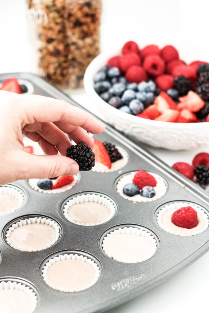 Vegan Frozen Yogurt Granola Bites