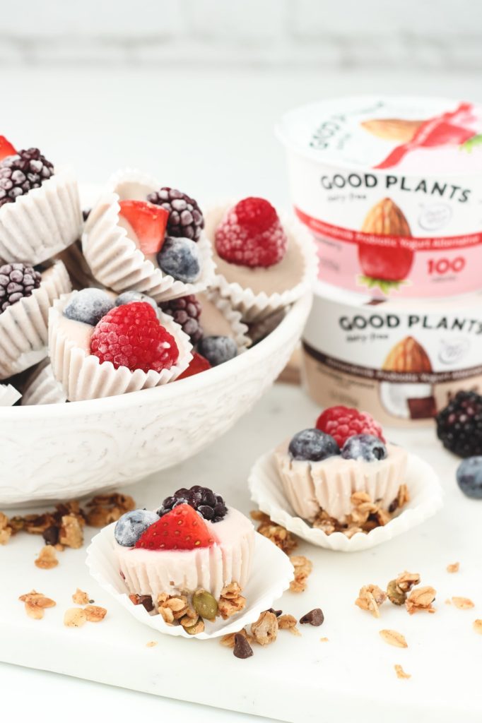 Vegan Frozen Yogurt Granola Bites