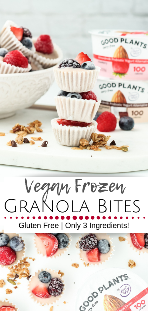 Vegan Frozen Yogurt Bites