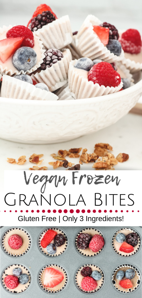Vegan Frozen Yogurt cups
